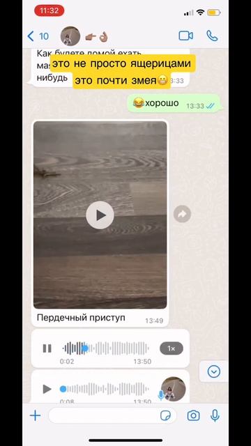 Герпетофобия - боязнь ящериц или змей . Диагноз с которым точно нельзя переезжать в Краснодар 😂 смотреть онлайн