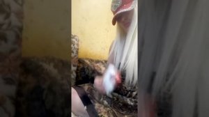 Болею шизофренией И тут рассказываю Какие таблетки принимаю