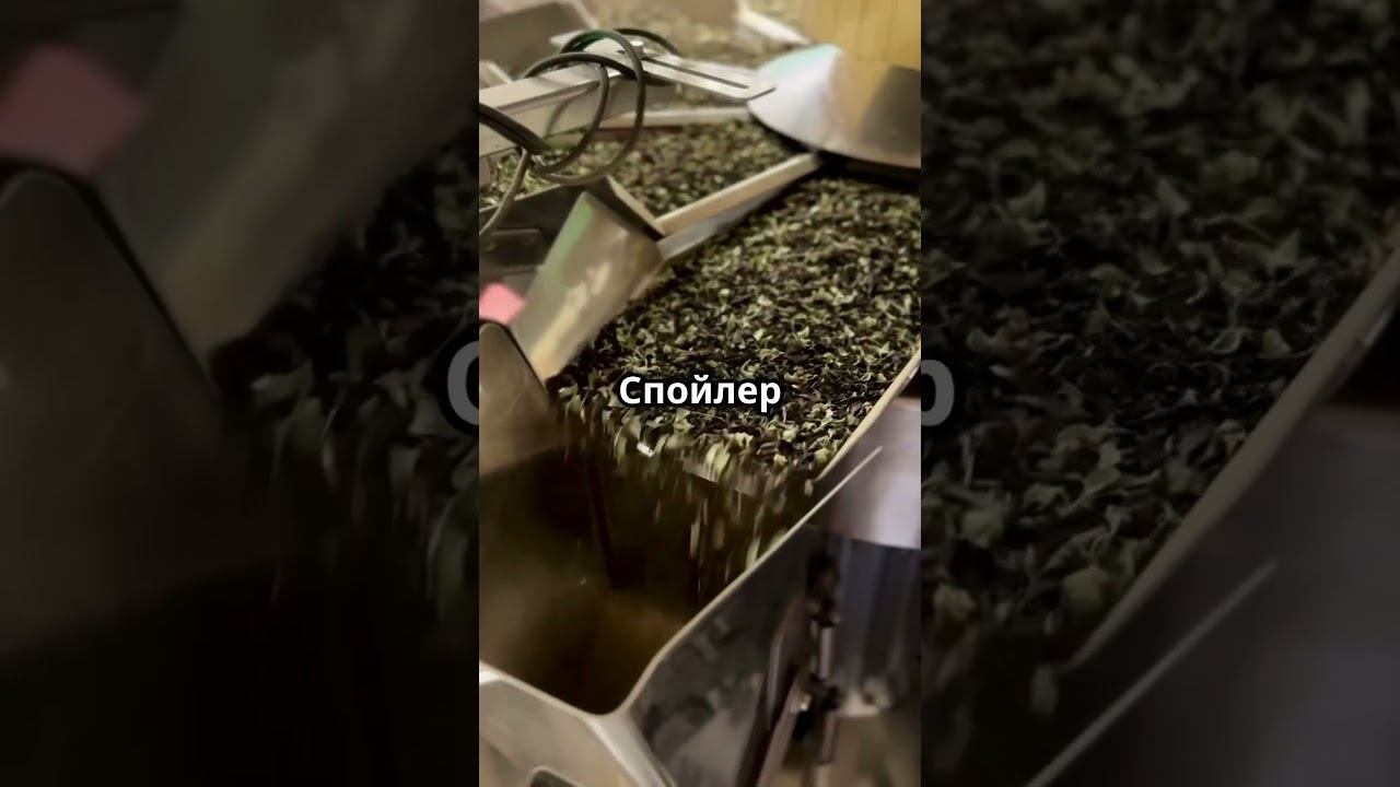 Как производится чай на самом деле? #чайноепроизводство #чай #cheftea #рецепты #зеленыйчай#черныйчай