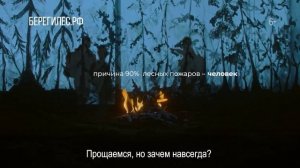 Берегите лес от пожара.