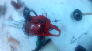 Заготовка леса 2017 г.  Валка, Раскряжевка.