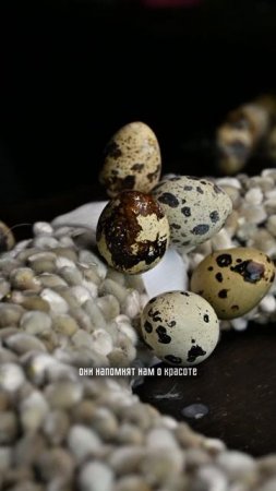 Вдохновляемся Пасхой!