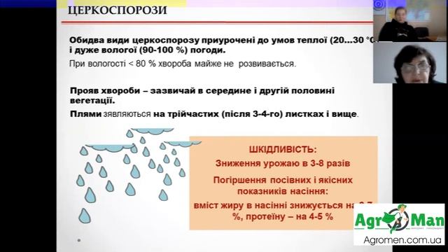 Церкоспороз, Фомопсиз та Альтернаріоз сої
