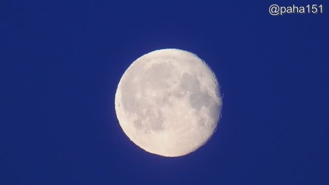 Полная Луна смотреть онлайн