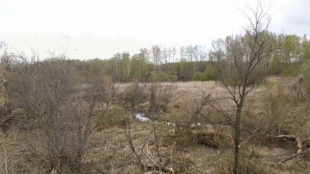 Времена (Весна)