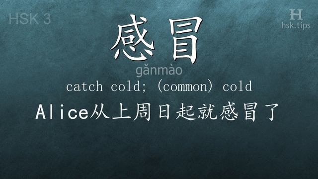 Chinese HSK 3 vocabulary 感冒 (gǎnmào), ex.2, www.hsk.tips смотреть онлайн