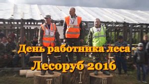 День работника леса 2016 г. Луза