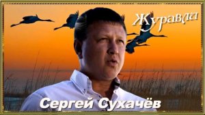 Сергей Сухачёв - Журавли