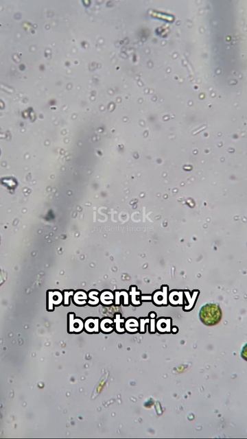 Origin of Life  - A Quick Dive #astrobiology #evolution
