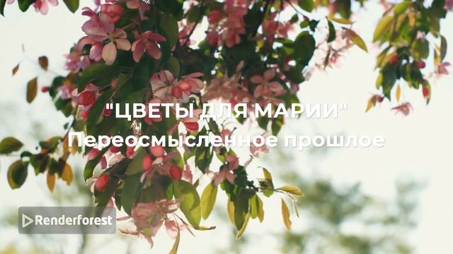 весна реклама05.mp4