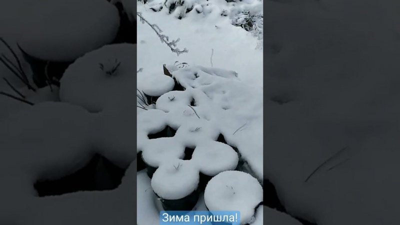 Зима пришла)