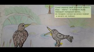 Откуда у кулика длинный клюв - 2024