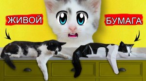 А ну-ка давай-ка | КОТ МАЛЫШ из БУМАГИ! КАК СДЕЛАТЬ 3Д КОТА САМОДЕЛКУ СВОИМИ РУКАМИ
