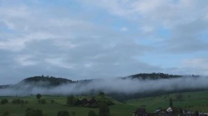 Красивый лес часть 17