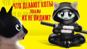 24 ЧАСА с КОТАМИ ЧЕЛЛЕНДЖ! Что делают МУРКА и БАФФИ в 3 ЧАСА НОЧИ | А ну-ка давай-ка
