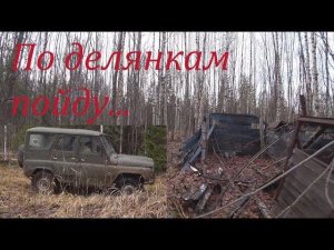 В лес с ночевкой. По следам лесорубов. Нашёл старую избушку.