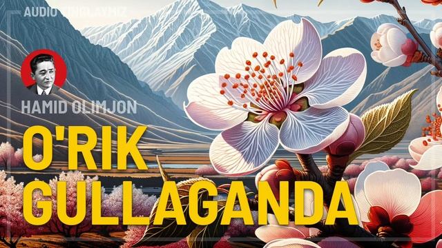 O'rik gullaganda // Hamid Olimjon смотреть онлайн