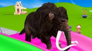 Длинный мультик со Слоном, Гориллой, Буйволом, Бегемотом, Тигром, 3d-игра с животными, Забавные