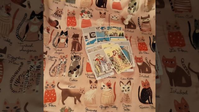 💫🪻❤️🔥Что у него на уме🍀в планах💎намерениях🐾🔉что хотел бы сказать❤️🔥 смотреть онлайн