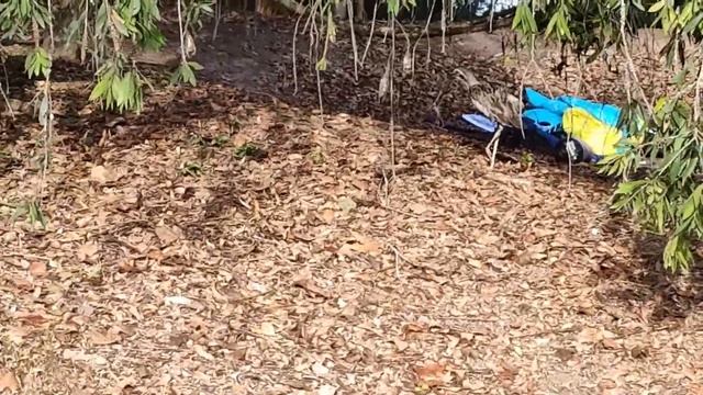 First day Camping at Lake tinaroo, Atherton Tableland Queensland The best Camping ground