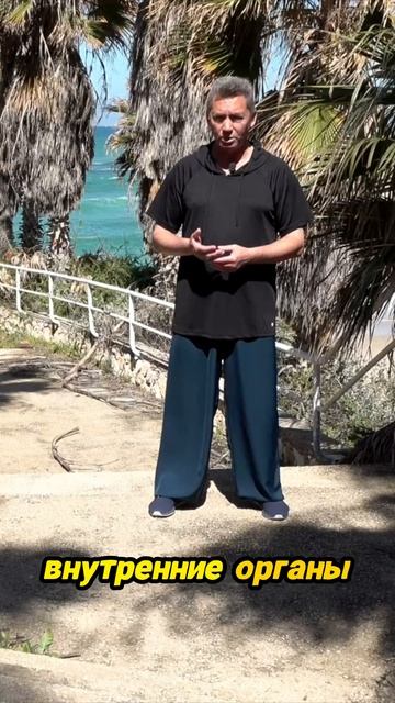 Как шаги тайцзи наполняют энергией! смотреть онлайн