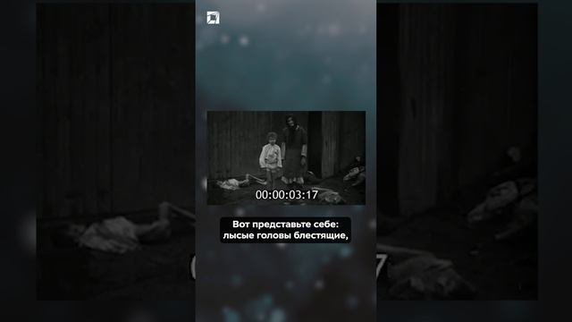 «Ужасы Освенцима»