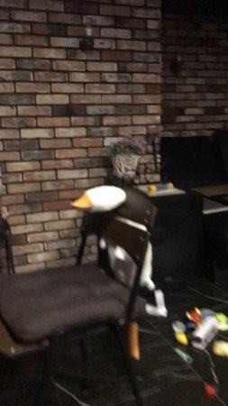 ??????
