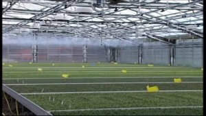 Микроспринклер FOGGER туман в професиональной теплице. Инновационная система туманообразования
