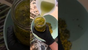 Приготовление мацерата из цветка одуванчика