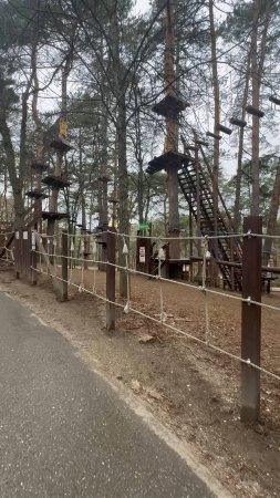 Веревочный городок в Кисловодском парке
