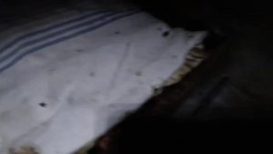 Зимовка пчел в подвале дома.Как,что,Смотрим.осмотр 1.Всех пчеловодов ПОЗДРАВЛЯЮ сНОВЫМ ГОДОМ!удачи.