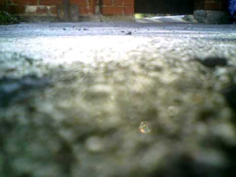 Big Lama и ветер