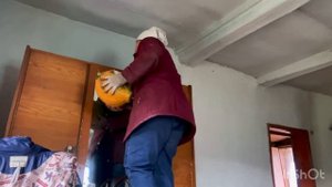 Чуть не родила убирая тыквы.Гигант кабачок