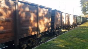 Тепловоз ЧМЭ3-3832 С грузовыми вагонами.