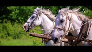 Хмельной Дракон - Песня Друзей ("Бременские музыканты")