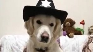 Шерлок и Ватсон Дело №2 Кошелёк