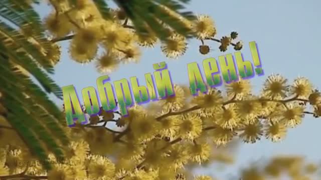Добрый весенний день! Чудесного настроения! смотреть онлайн
