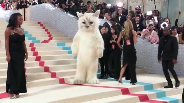 Jared Leto Stole the Show at Met Gala 2023 by Dressing up as Karl Lagerfeld's Cat - Choupette!