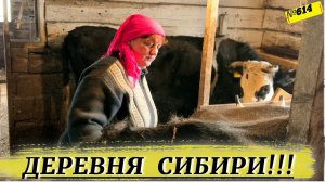 Деревенские будни на канале Омск Москаленки.