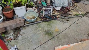 Зелёный мох медный купорос эксперимент