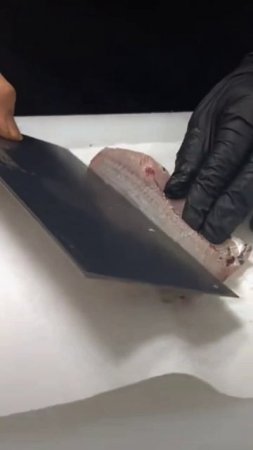 Селёдка 🦈