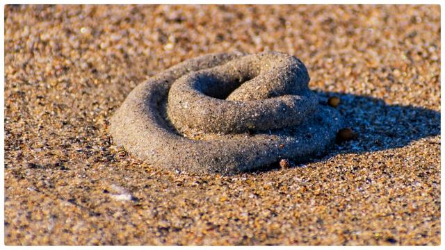 Beach Photography - Look Down, Not Up