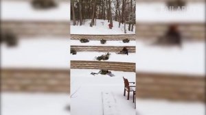 FailArmy (перезалив с youtube).  WINTER is the Fail Time Of The Year! - Funny Snow Fails