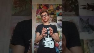 что такое любовь
