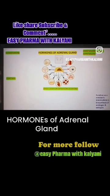 ADRENAL GLAND HORMONES #neet#biology#science #pharmacy#nursing #mbbs#humananatomyandphysiology#12th