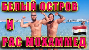 Египет. Белый остров и Рас Мохаммед - обзор экскурсии из Шарма с подводной съемкой.