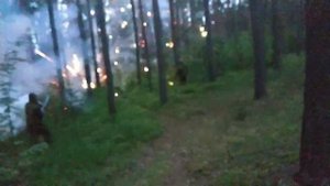 Набег на вторую смену Совёнок-феста. 2022 (первая атака)