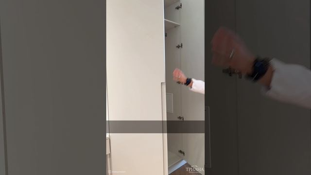 Панели из шпона под стиль интерьера и шкаф с тумбой из эмали