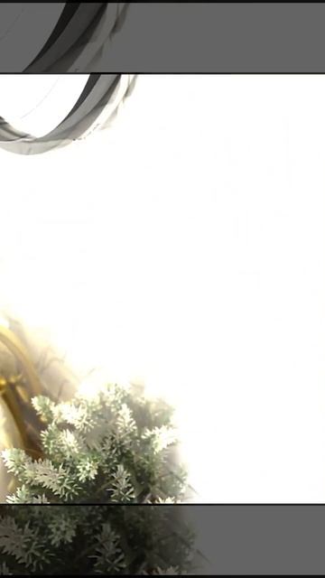 органайзер на Озон смотреть онлайн