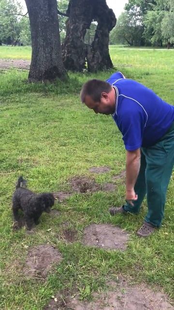 Новое средство от кротов. смотреть онлайн